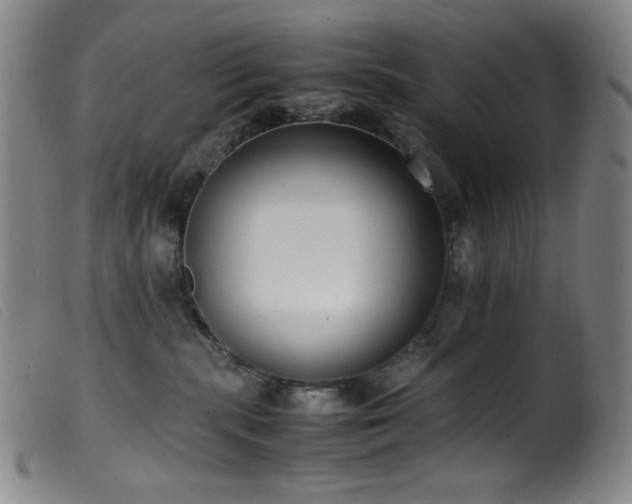 X0000099550283200805161500