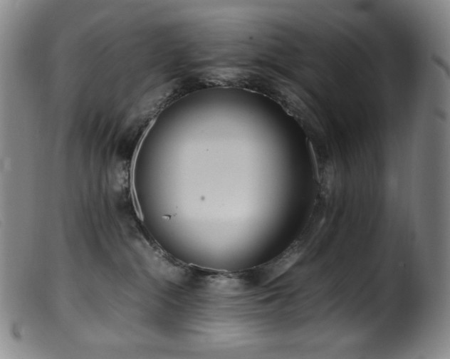 X0000099550284200805161500
