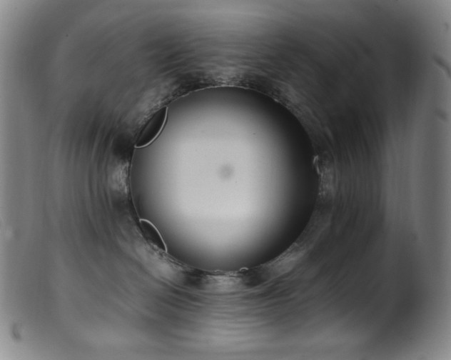 X0000099550286200805161500