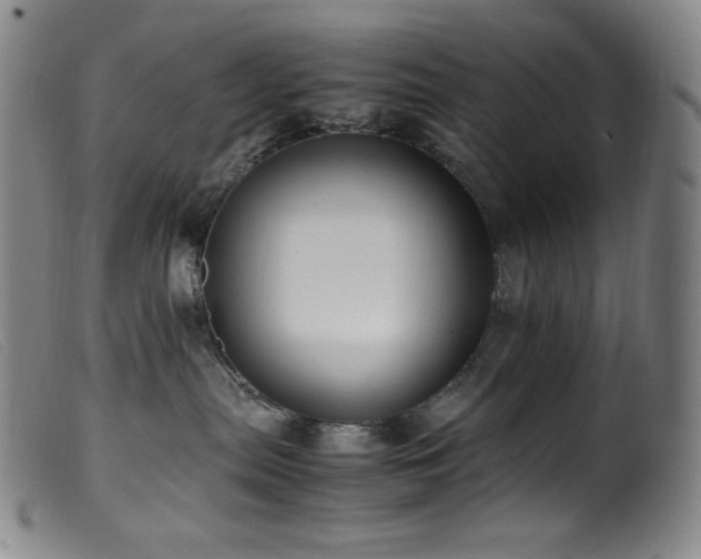 X0000099550287200805161500