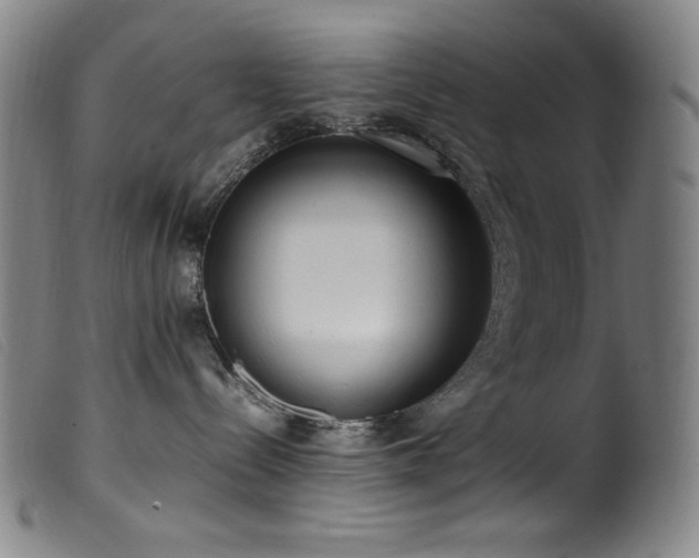 X0000099550288200805161500