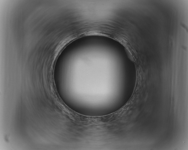 X0000099550289200805161459