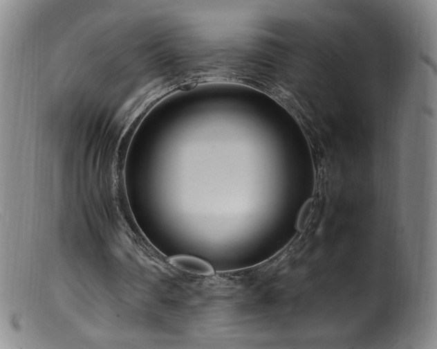 X0000099550290200805161459