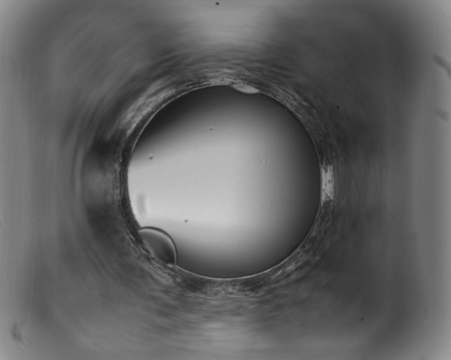 X0000099550291200805161459