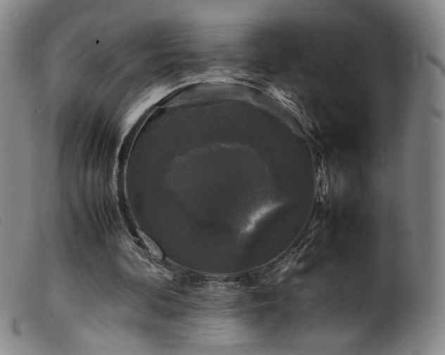 X0000099550292200805161459
