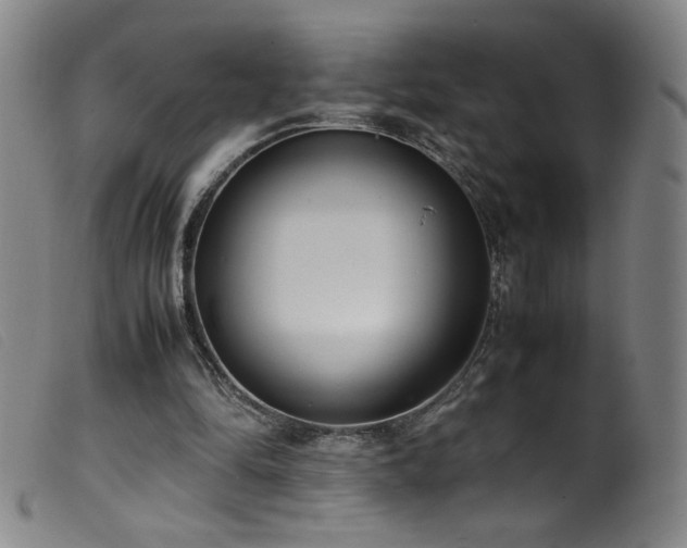 X0000099550294200805161459