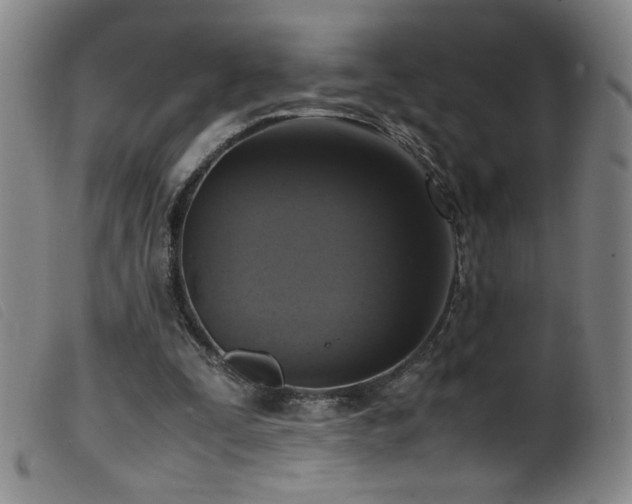 X0000099550295200805161459