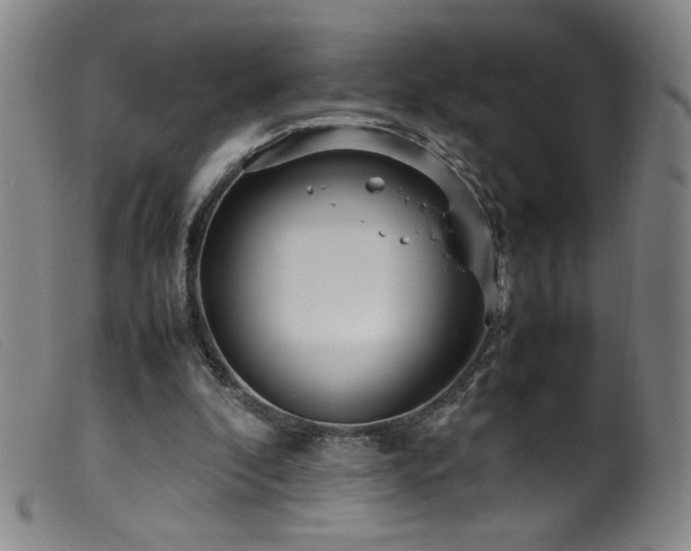 X0000099550296200805161459