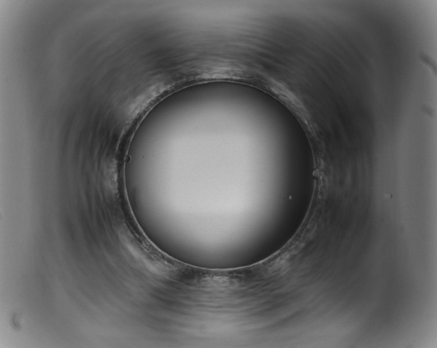 X0000099550298200805161459