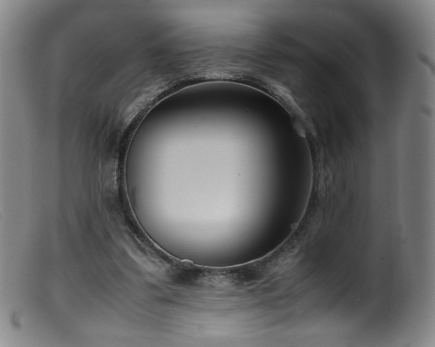 X0000099550299200805161459