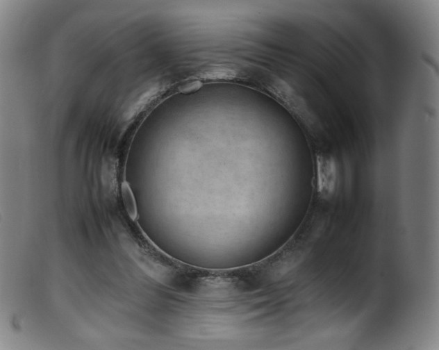 X0000099550300200805161459