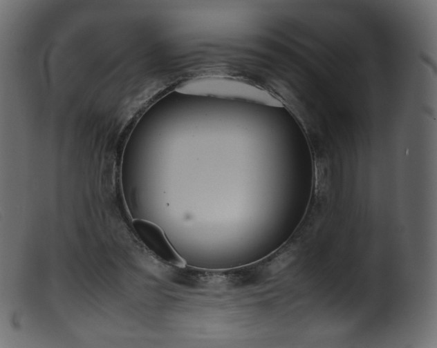 X0000099550301200805161459