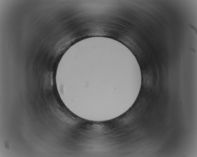X0000099550302200805161459