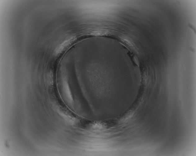 X0000099550303200805161459