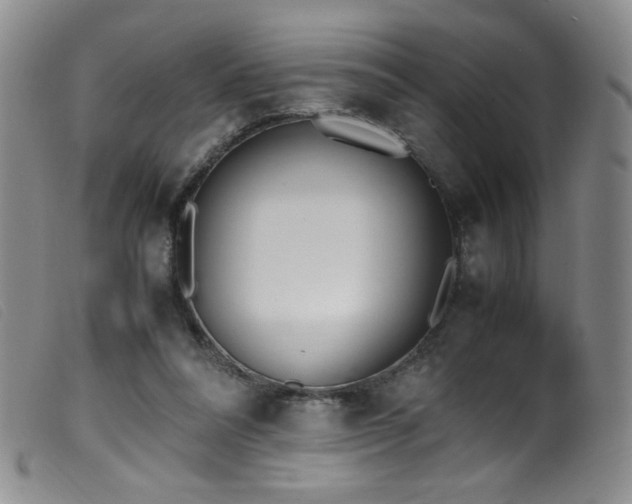 X0000099550304200805161458