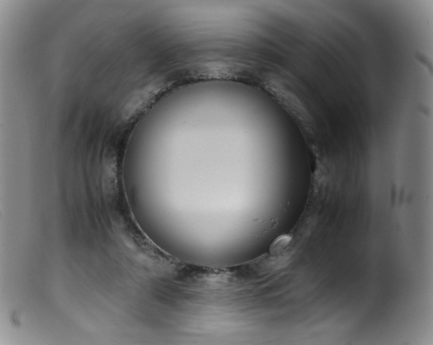 X0000099550306200805161458