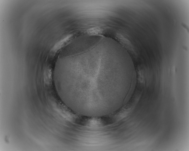 X0000099550308200805161458