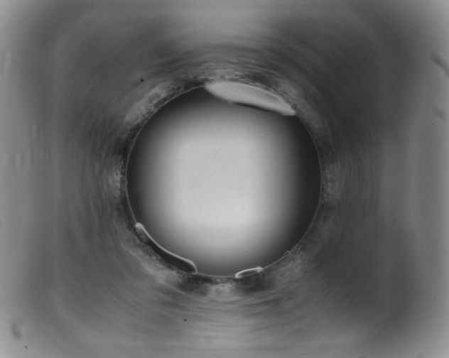 X0000099550309200805161458