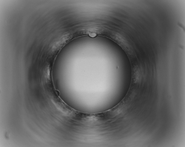 X0000099550310200805161458