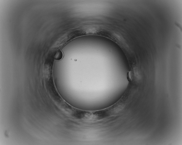 X0000099550311200805161458