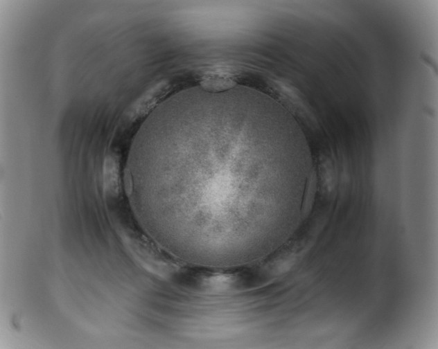 X0000099550312200805161458