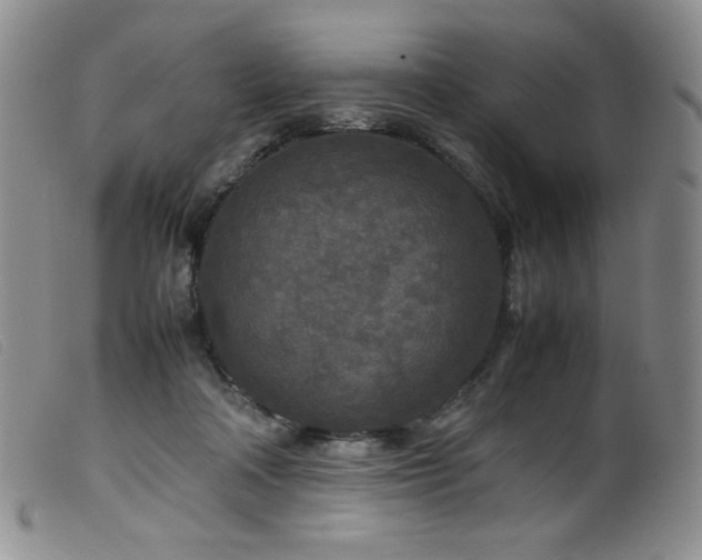 X0000099550314200805161458