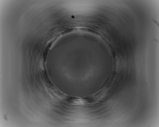 X0000099550316200805161458