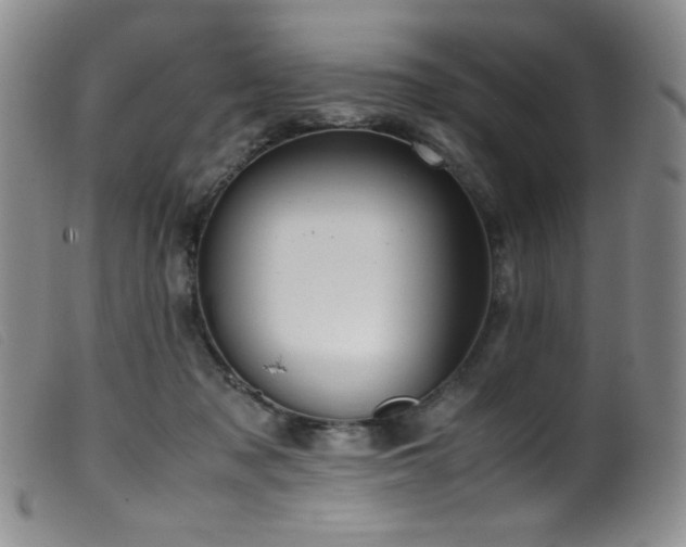 X0000099550317200805161458