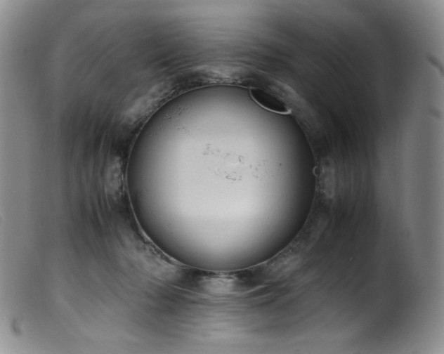 X0000099550318200805161458