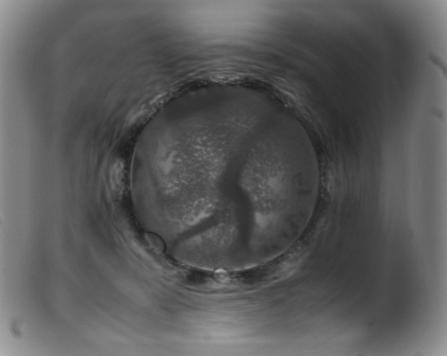 X0000099550319200805161458