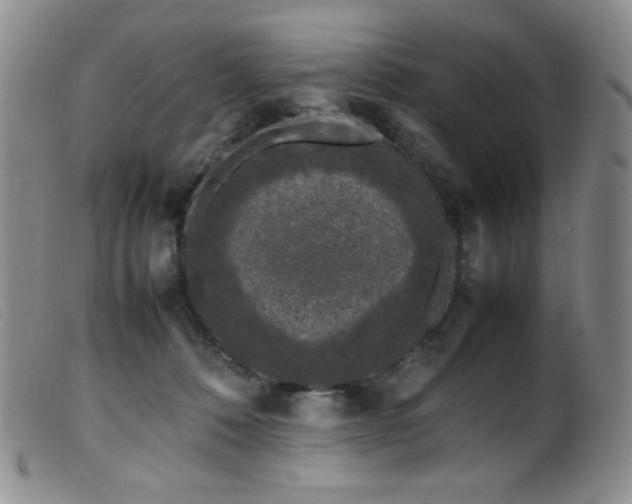 X0000099550320200805161458