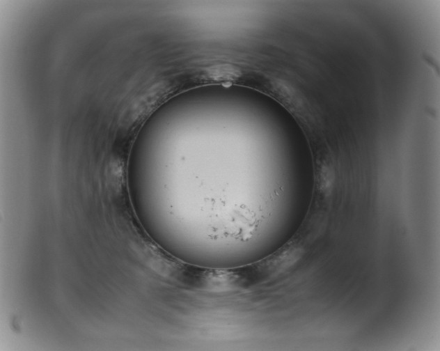 X0000099550321200805161458