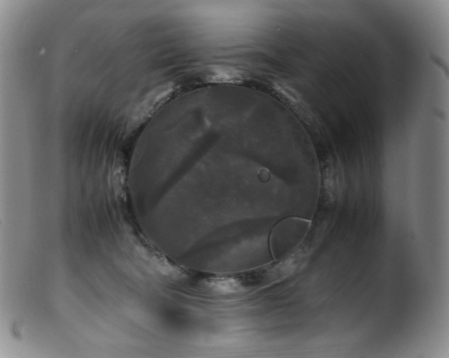 X0000099550322200805161458