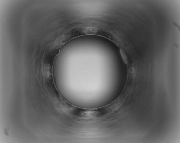 X0000099550323200805161458