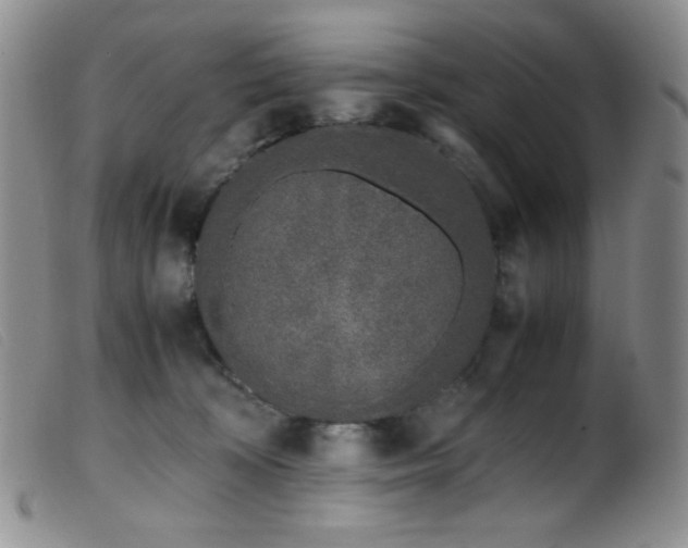 X0000099550324200805161458