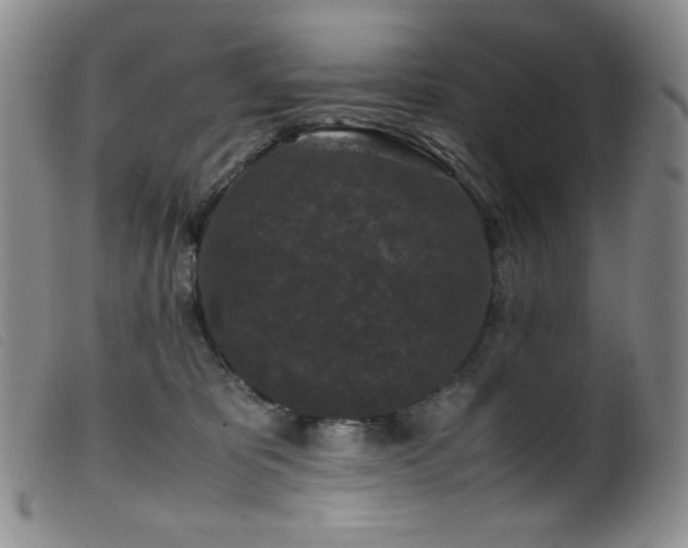 X0000099550325200805161458