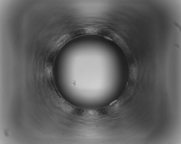X0000099550329200805161458