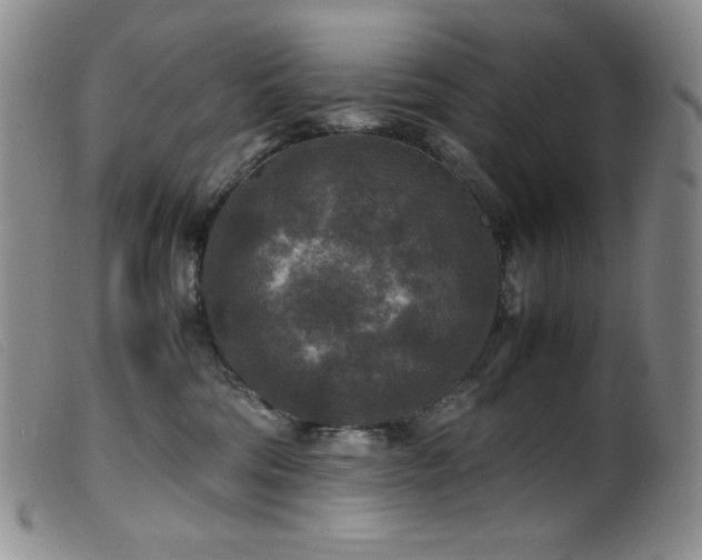 X0000099550330200805161458