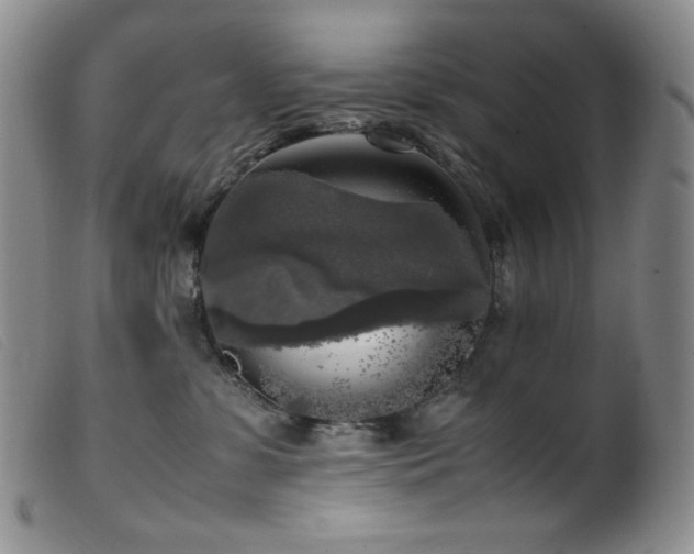 X0000099550331200805161458