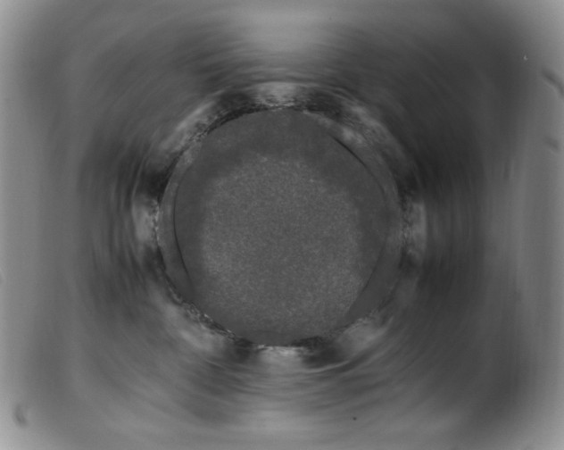 X0000099550332200805161458