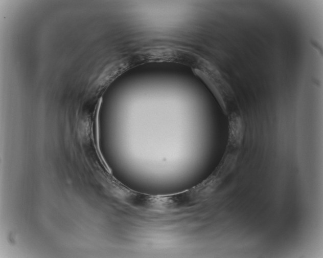 X0000099550333200805161458