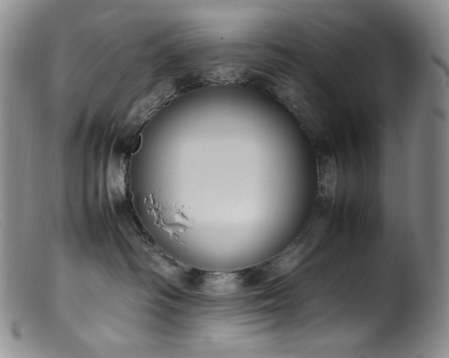 X0000099550334200805161458