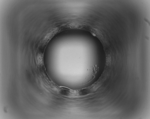 X0000099550335200805161458