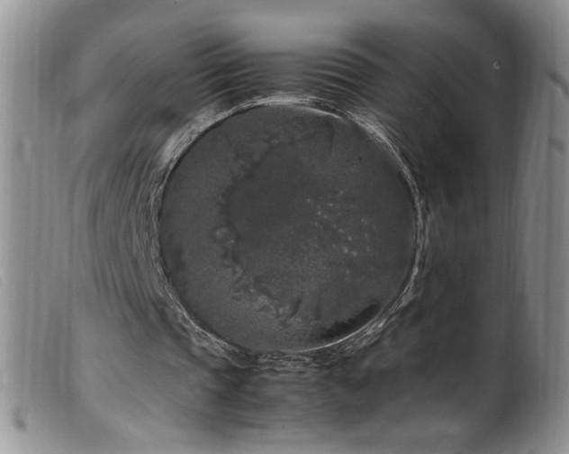 X0000099550337200805161457