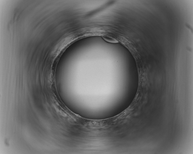 X0000099550338200805161457