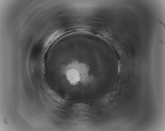 X0000099550339200805161457