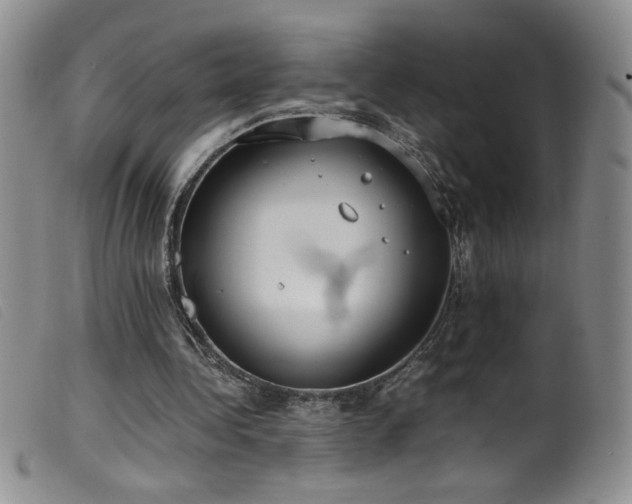 X0000099550340200805161457