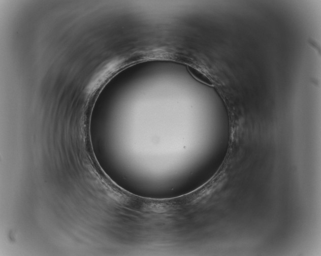 X0000099550341200805161457