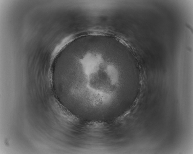 X0000099550343200805161457