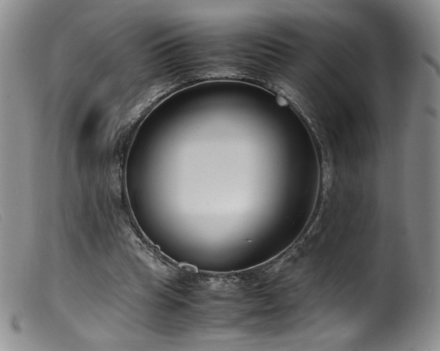 X0000099550345200805161457